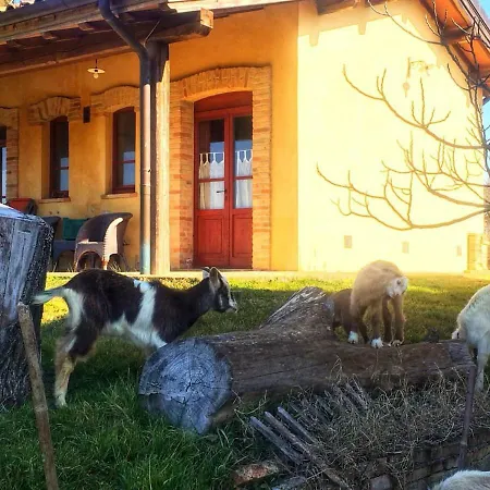 Agricoltore Casa Vacanze Читта-ди-Кастелло